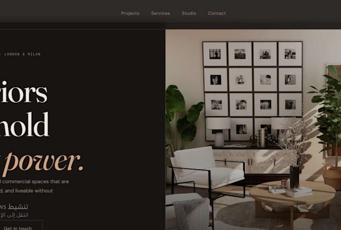 develop a professional responsive website for your business